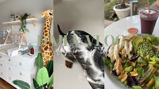 Unveiling My Day: Nursery Prep, Healthy Eating, Puppy Spa + Bible Study