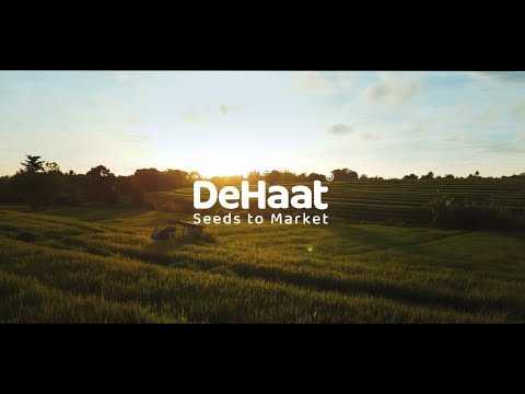 DeHaat in Action