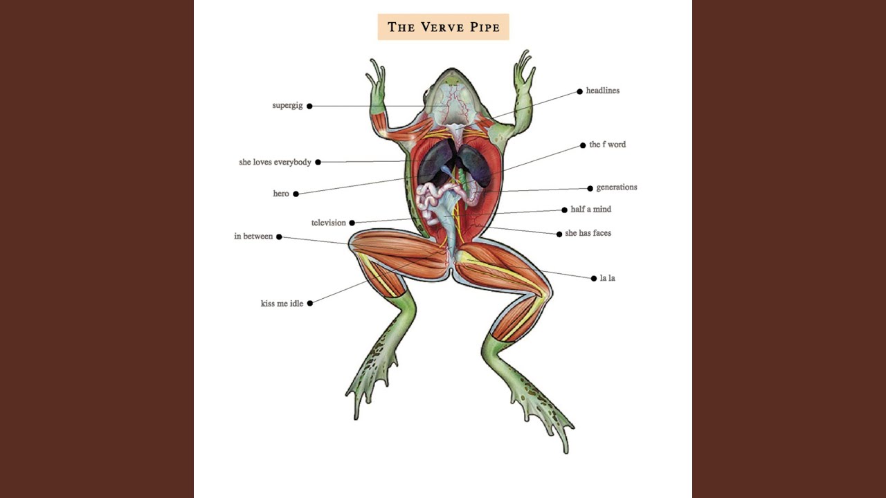 The Verve Pipe - She Loves Everybody