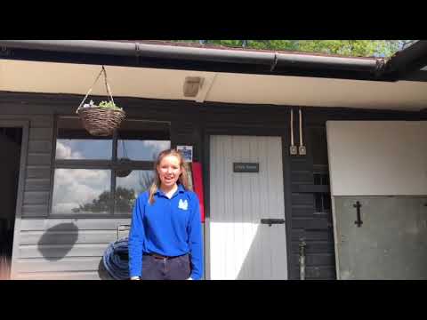 D is for Dressage 🐴