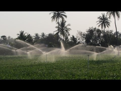 Permanent Sprinkler System