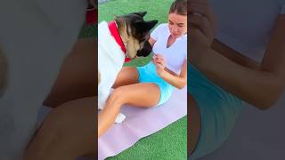 She Tried Stretching… But Her Dog Had Other Priorities 😅🐕 #stretching #dogfunny #dogshorts #shorts