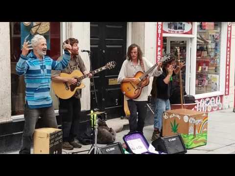 Phat Bollard - Arseholes