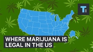 Where marijuana is legal in the US