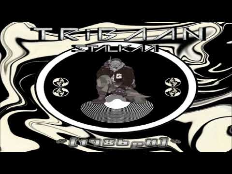 Tribaan - Stalkaa