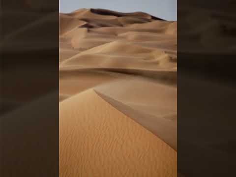 Patterns in nature | Wikipedia audio article