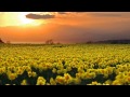 Poem:~ "I Wandered Lonely As a Cloud ...