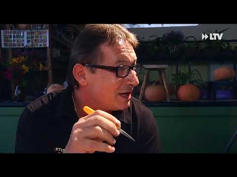 Alles rund um den Kürbis - 15.10.2018