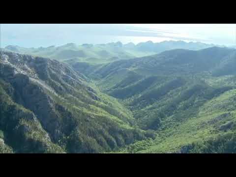 oodly satisfying video | Relaxing Music | Beauty of Nature | @sailajamudigal