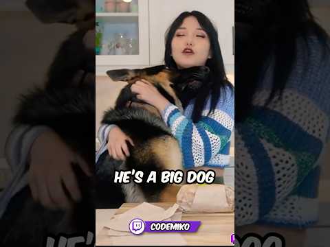 Giant Dog Hijacks My Live Stream! 🐶