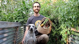 🔴 You Won't Believe My Homestead Tour | Fall 2022