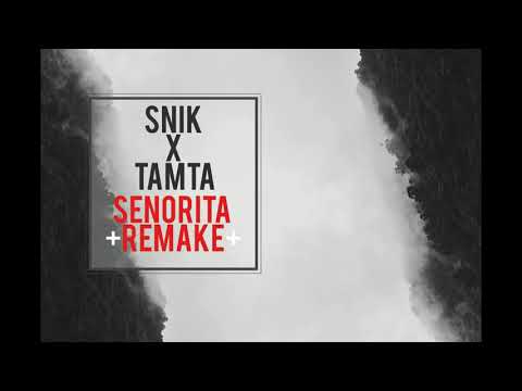 SENORITA REMAKE SNIK x Tamta