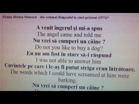 Learn Romanian with Poems - 11 - Nichita Stănescu 《A cumpăra un câine》
