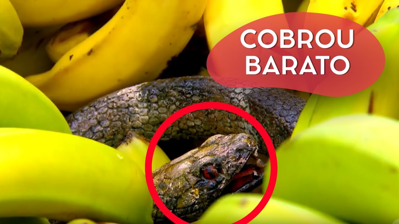 PRA PEGAR ESSA PROMOÇÃO TEM QUE TER CORAGEM | CÂMERAS ESCONDIDAS