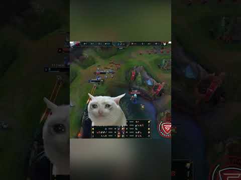 Prime League Supercup Team Fragster "Highlights"