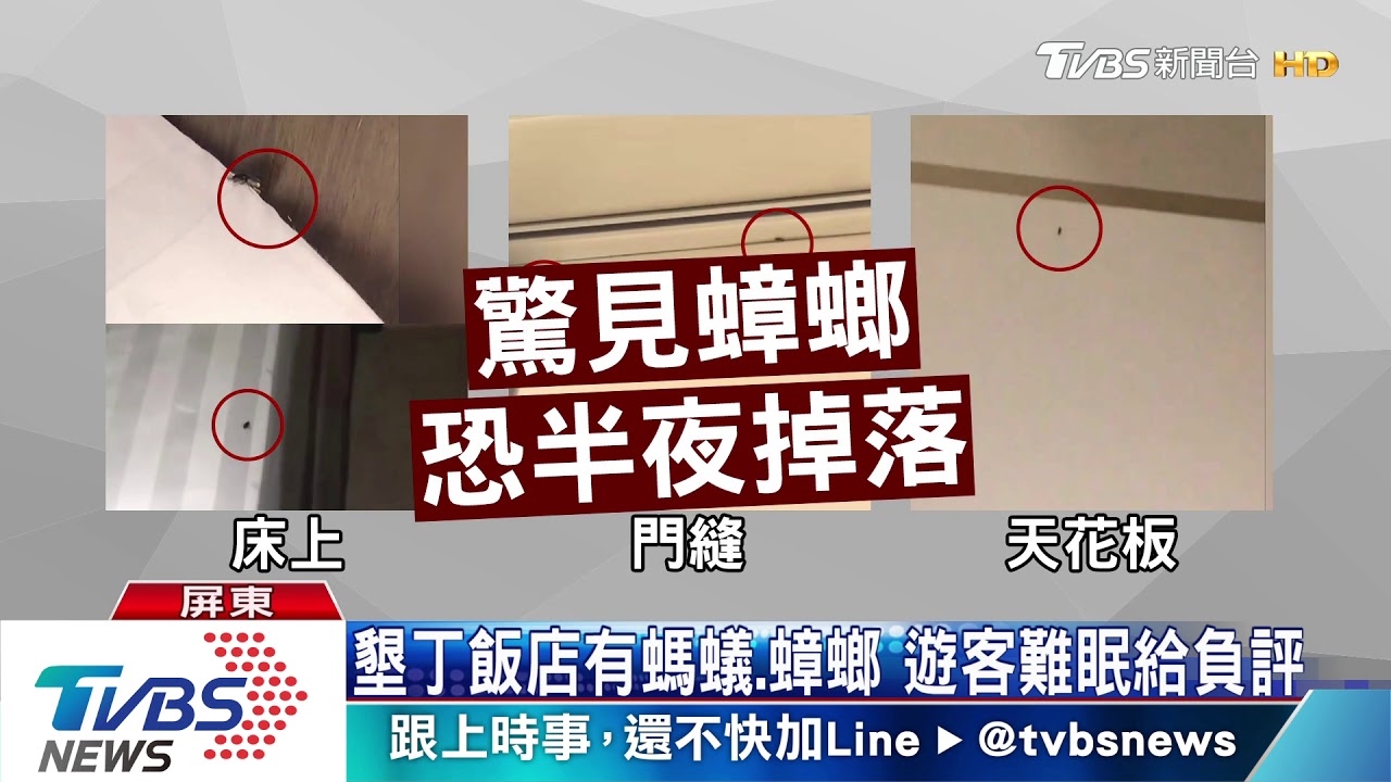 墾丁飯店有螞蟻、蟑螂 遊客難眠給負評