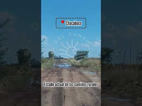 📢Seguimos recibiendo imágenes de los caminos rurales del partido de Chacabuco.Que dice el municipio?
