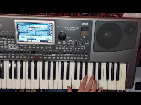 GILE - SVADBENI ČOČEK  ( ELVIS I PEĐA )  UŽIVO KORG PA 900