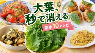 【大葉レシピ10選】余った大葉が一瞬でなくなる！ご飯が進む簡単おかず・おつまみ・大量消費