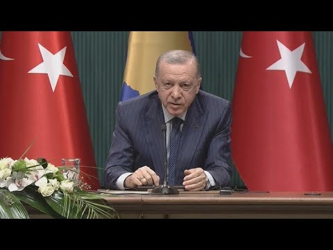 Turkey's Erdogan performs balancing act as Russia-Ukraine mediator • FRANCE 24 English