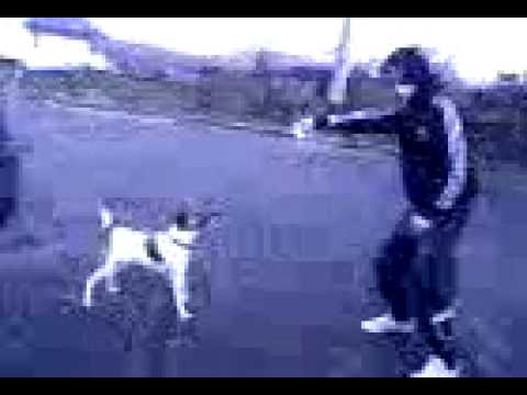 Alexi Mirwart Vidéo