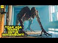 Makhluk Ganas Yang Membunuh 95 Persen Populasi Manusia Di Bumi ALUR CERITA FILM Arcadian