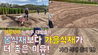 가을 식재 준비 1탄!! 나무박사 꿀팁 방출