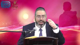 מי מחזיק את מי??? סיפור ענק על מרן הרב שטיינמן זצ"ל מפי הרב ראובן גולן