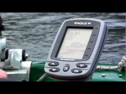 Vertikalangeln auf Zander und Barsch am Edersee