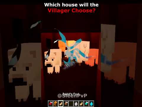 SHOCKING! Minecraft Villager's House Choice 😱