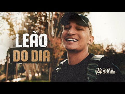 João Gomes Cantor - LION OF THE DAY - João Gomes (From North to South)