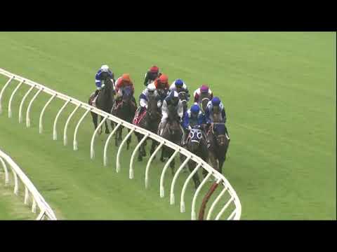 Encoder wins at the Grand Prix Stakes at Eagle Farm