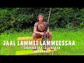 Jala Maraa Koo Jaal Marsii Lammeessaa New Afaan Oromoo Music 2023 Official Video