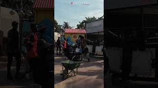 🇿🇦 South Africa | Durban: An Amazing UShaka Marine Entertainer! #shorts #tourmarvel #trending