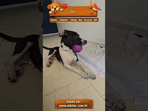 Vídeo de Doc