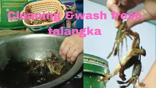 Hugasan natin un bagong bili na talangka