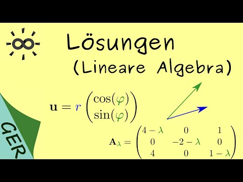 Lösungen Polarkoordinaten Vektoren in Ebene und Determinanten