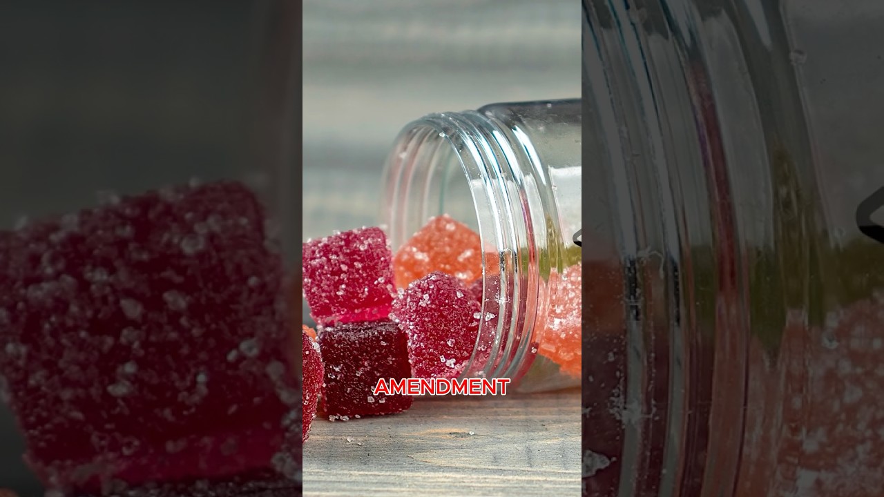 Supreme Court About To ERASE Major Gun Law?! What Just Happened…