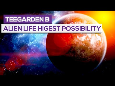 Hundreds Of Stars Have Disappeared From The Sky Where Have They Gone