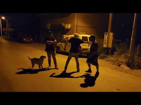 Kafe Zale- Tuca Dane vs Milos (pala krv izmedju brace)