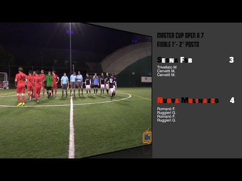 Sintesi Sesna Fsb - Nuova Molinazzo