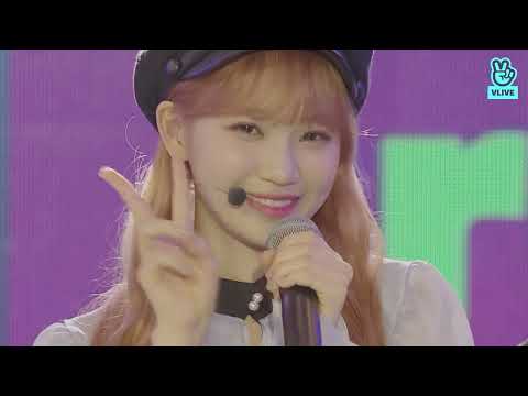아이즈원 리멤버파티 시상식 / 2019 GLOBAL VLIVE TOP 10 ROOKIE STAGE