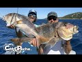 Slow Trolling With Live Bait