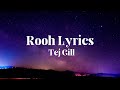 Rooh Lyrics - Tej Gill Lyrics video punjabi song