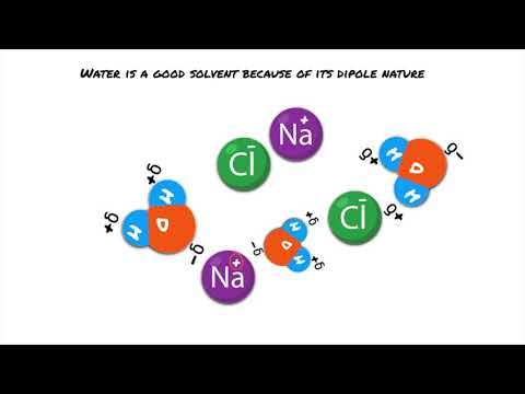 Edexcel IAL AS Biology - Lesson 1: Biological Molecules  (Water & Carbohydrates)