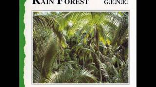 G.E.N.E. - Rain Forest