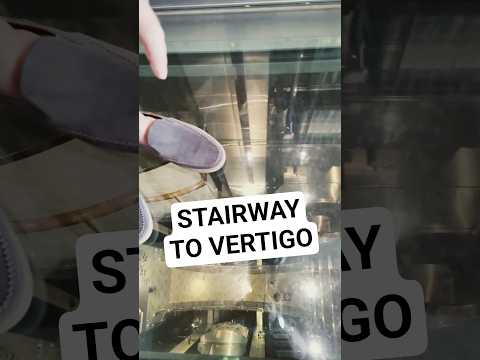 Thumbnail for I Got Vertigo on Quantum of the Seas! #cruise #cruiseship #royalcaribbean #staircase #vertigo