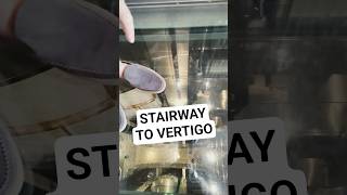 I Got Vertigo on Quantum of the Seas! #cruise #cruiseship #royalcaribbean #staircase #vertigo