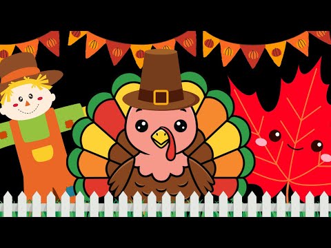 Peekaboo Turkey Baby Sensory  | Fall Peekaboo Fun for Babies Baby sensory video high contrast