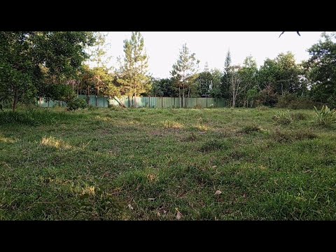 Te Gustaría una Finquita o Solar en una zona Ecoturística en desarrollo? ##inmobiliariabrito